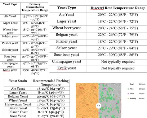 how to tell when beer fermentation is complete conical refractometer|How To Tell When Fermentation Is Don.